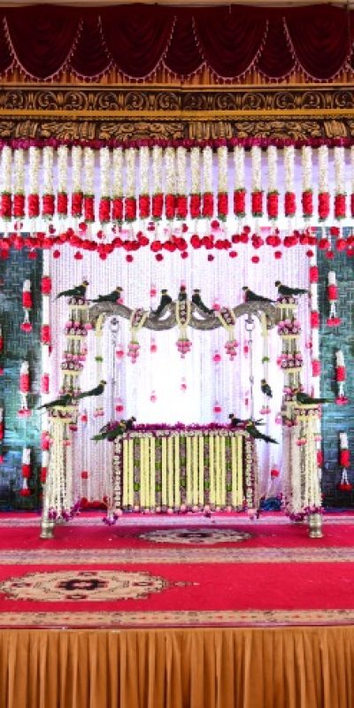 Drls palace wedding hall